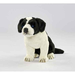 Animaux-Bois-Animaux-Bronzes propose Chien Border colley bébé chien assis 25cmh peluche animalière -5664