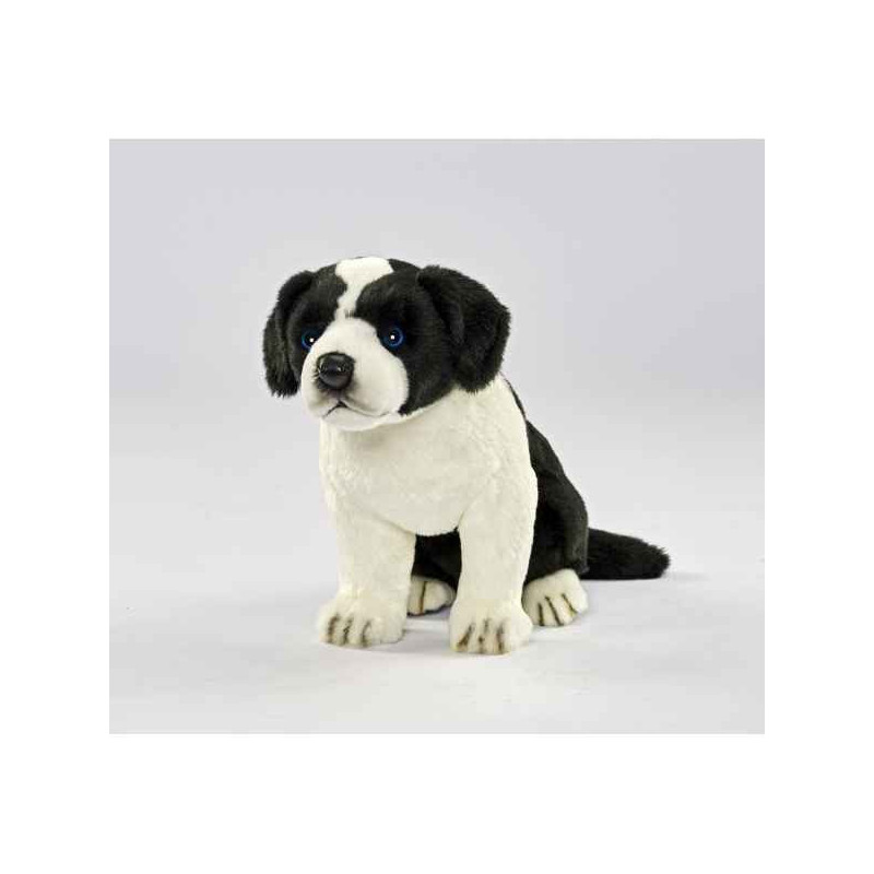 Animaux-Bois-Animaux-Bronzes propose Chien Border colley bébé chien assis 25cmh peluche animalière -5664