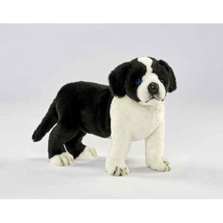 Animaux-Bois-Animaux-Bronzes propose Chien Border colley chien 4 pattes 39cml peluche animalière -5663