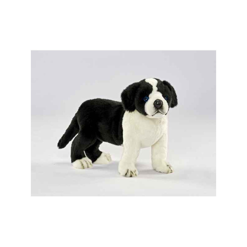 Animaux-Bois-Animaux-Bronzes propose Chien Border colley chien 4 pattes 39cml peluche animalière -5663