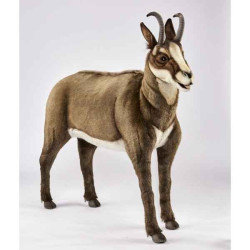 Animaux de la forêt Chamois 107cml peluche animalière -7231