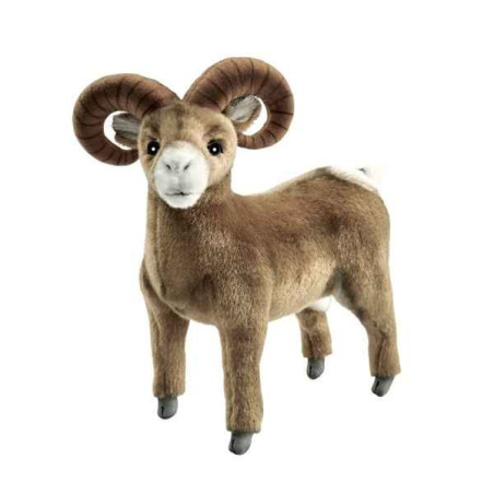 Peluche Bouquetin 25cml Anima  -3544