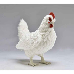 Décoration OiseauxPoule blanche 39cml peluche animalière -7329 Anima