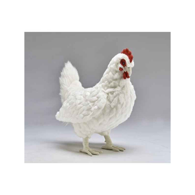 Décoration OiseauxPoule blanche 39cml peluche animalière -7329 Anima
