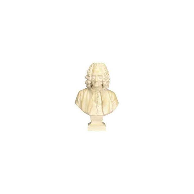 Décoration Statue résine Buste de voltaire avec perruque statuette musée RMNGP -PF006096