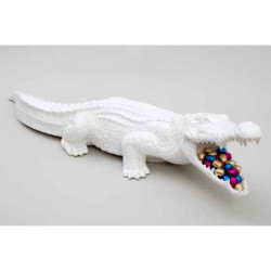 Animaux sauvage Plat crocodile Piselli Projects
