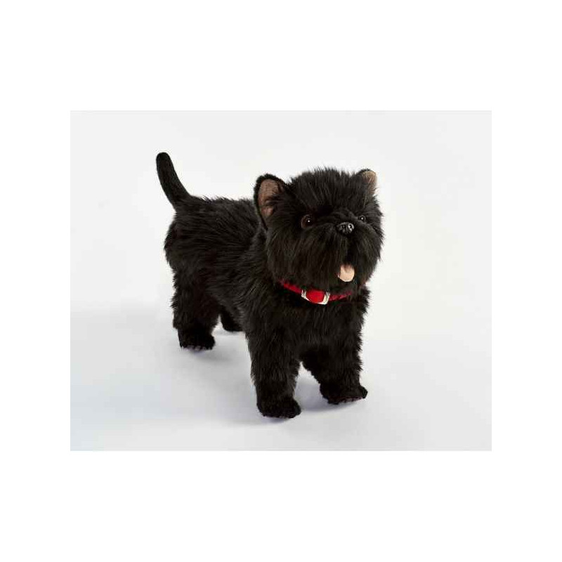 Animaux-Bois-Animaux-Bronzes propose Chien Westie noir 4 pattes 35cml peluche animalière -6845