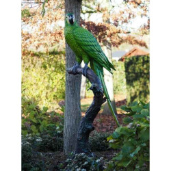 Perroquet coloré sur tronc d'arbre Thermobrass -B1147P