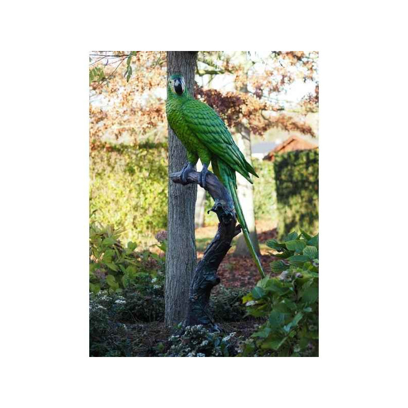 Perroquet coloré sur tronc d'arbre Thermobrass  -B1147P