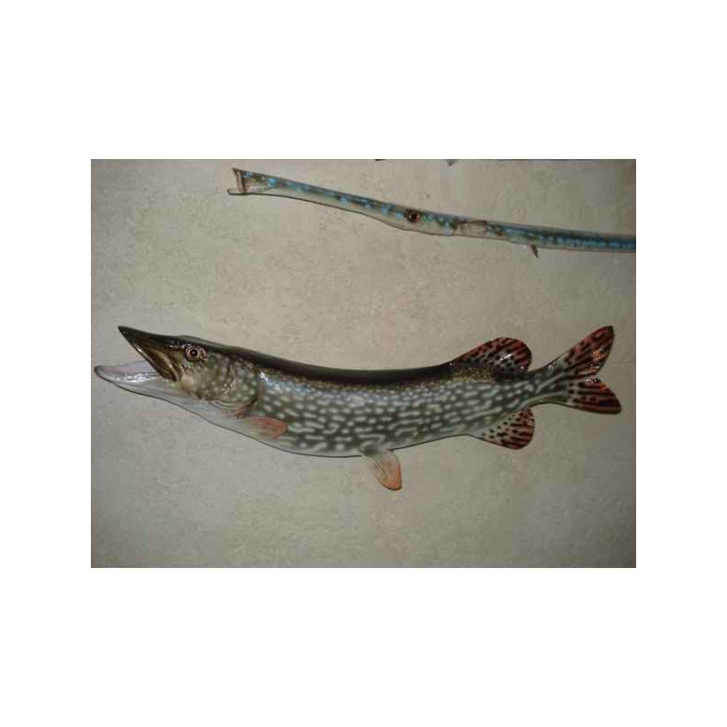 Animaux-Bois-Animaux-Bronzes propose Trophée poisson d'eau douce  Brochet -TRDF04
