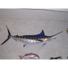 Animaux-Bois-Animaux-Bronzes propose Trophée poisson des mers tropicales  Marlin bleu -TRDF58