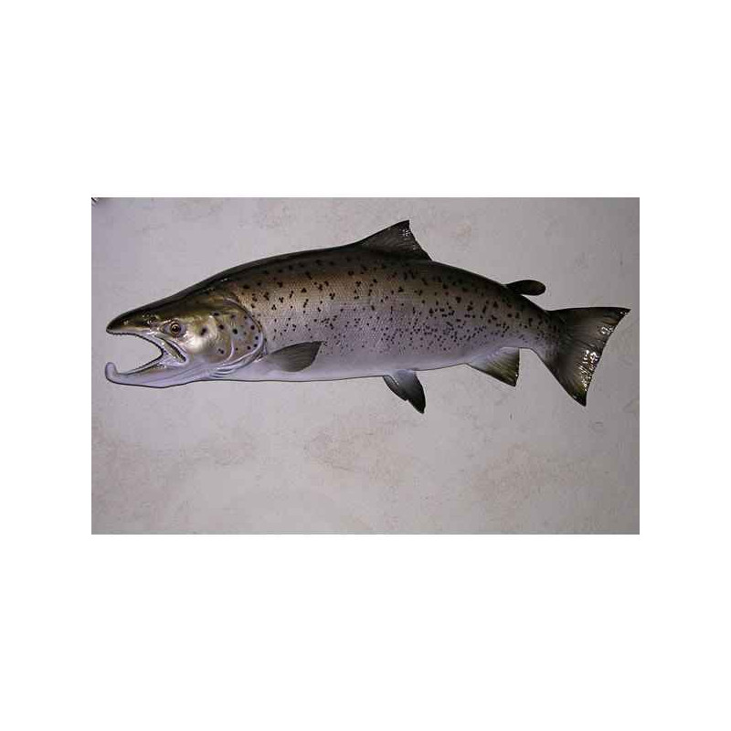 Animaux-Bois-Animaux-Bronzes propose Trophée poisson d'eau douce  Truite de mer -TRDF14
