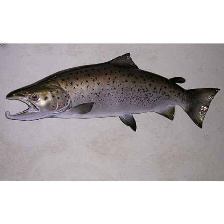 Animaux-Bois-Animaux-Bronzes propose Trophée poisson d'eau douce  Truite de mer -TRDF14