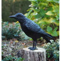 Corbeau male Thermobrass -B50325