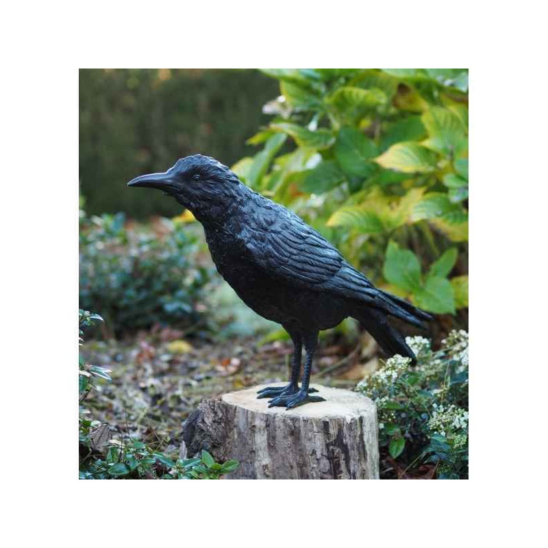 Corbeau male Thermobrass -B50325