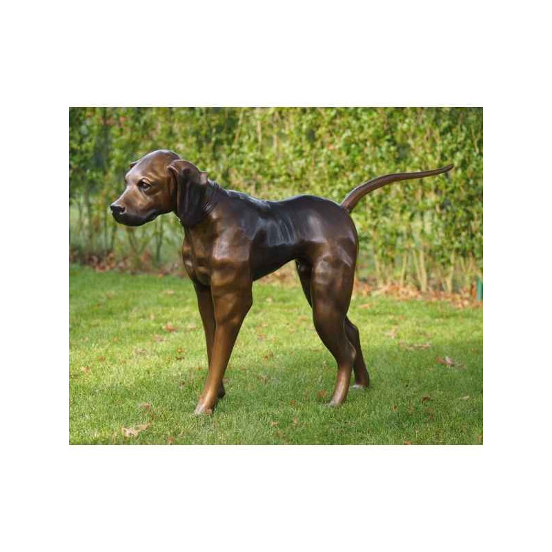 Chien de chasse Thermobrass  -B635 -1