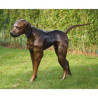 Chien de chasse Thermobrass  -B635 -1