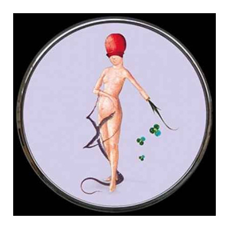 Miroir de poche bosch 3dMouseion -M51JB