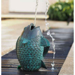 Poisson jaillissant Thermobrass -AN1141BR-V-F