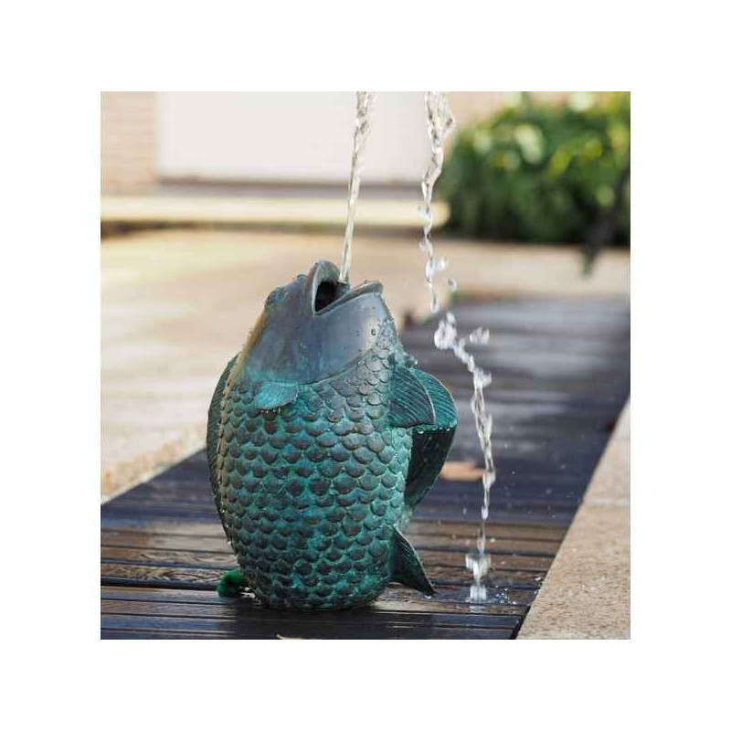 Poisson jaillissant Thermobrass -AN1141BR-V-F