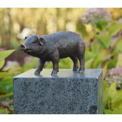 Cochon Thermobrass -AN1170BRW-B