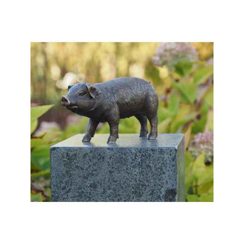 Cochon Thermobrass -AN1170BRW-B