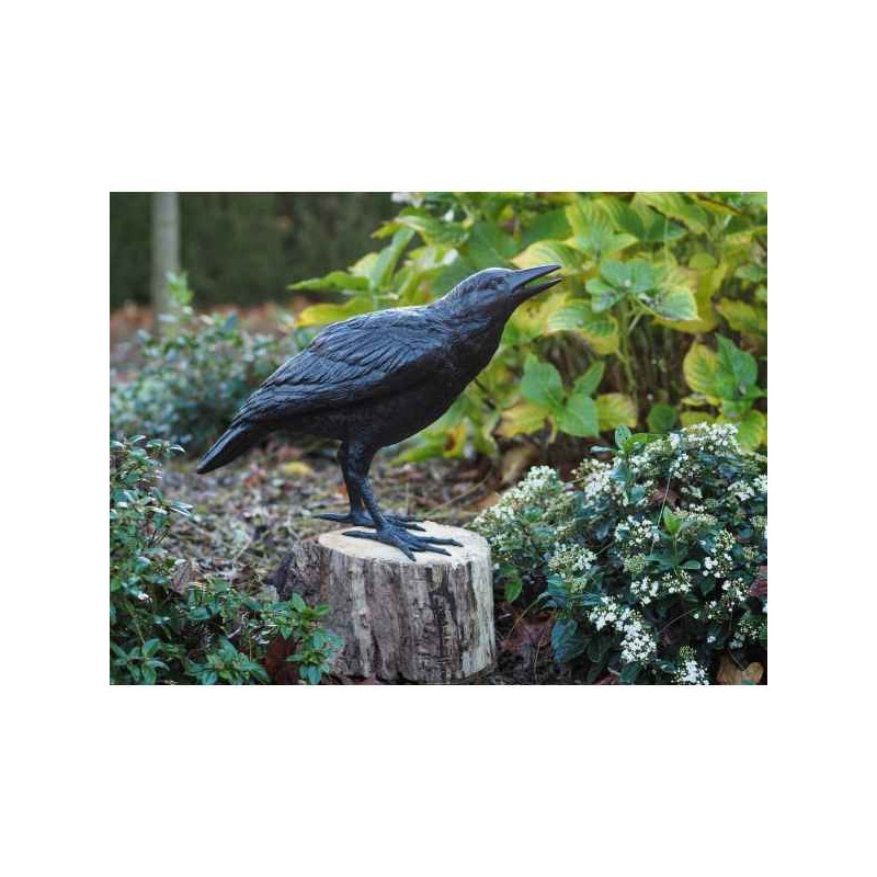 Corbeau fémelle Thermobrass -B50420