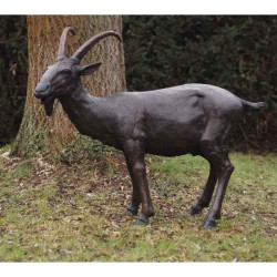 Bouc Thermobrass -B74065