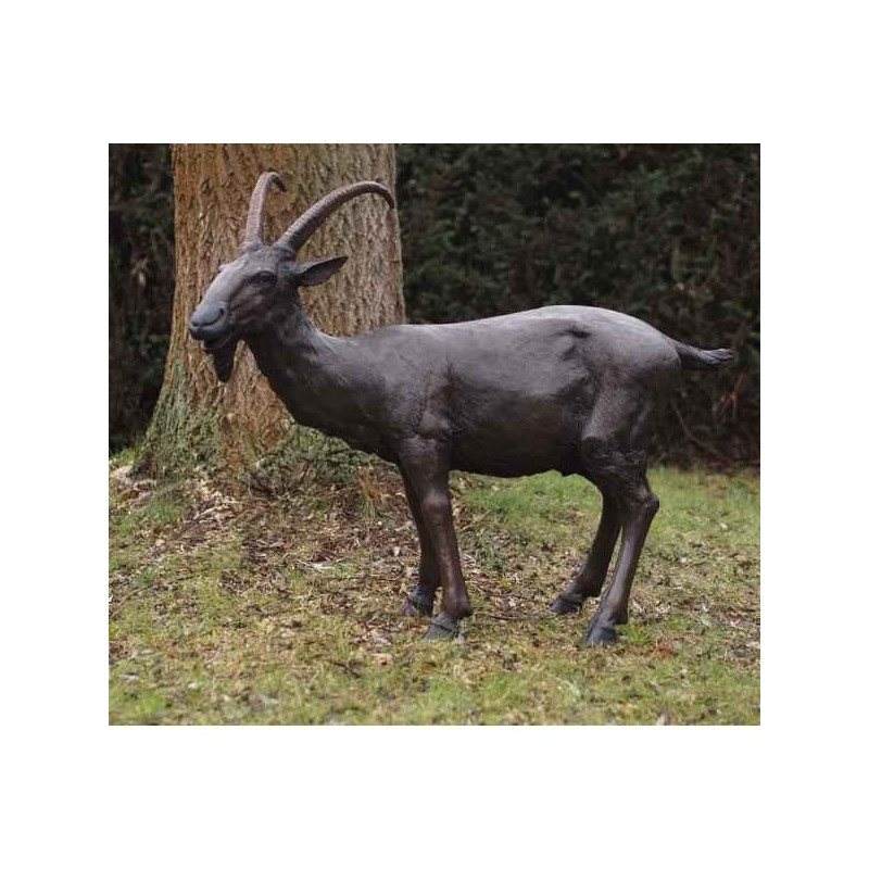 Bouc Thermobrass -B74065