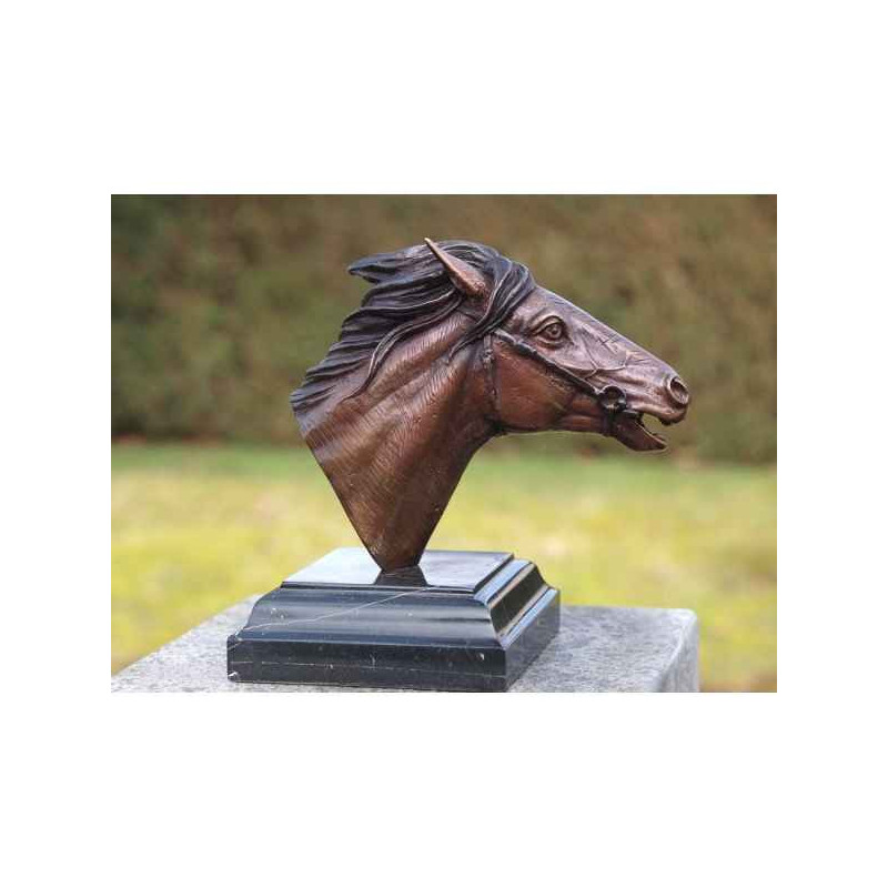 Tête de cheval Thermobrass -AN1152BR-B