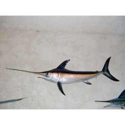Animaux-Bois-Animaux-Bronzes propose Trophée poisson des mers tropicales  Espadon -TRDF60