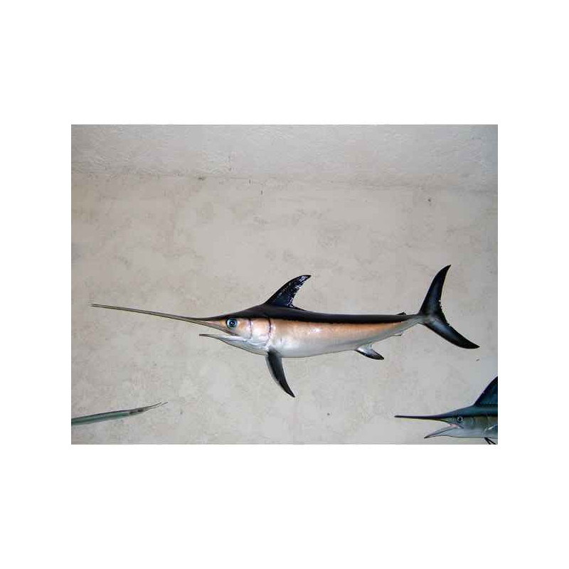Animaux-Bois-Animaux-Bronzes propose Trophée poisson des mers tropicales  Espadon -TRDF60
