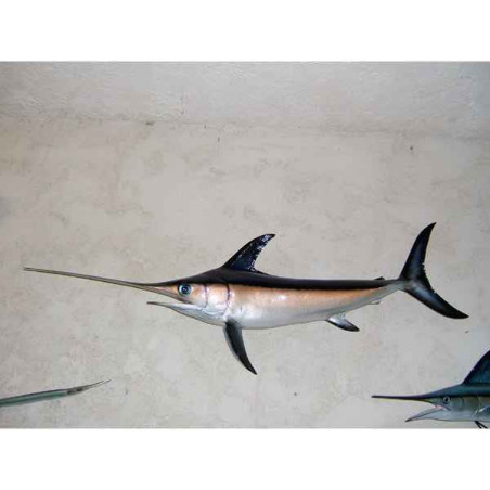 Animaux-Bois-Animaux-Bronzes propose Trophée poisson des mers tropicales  Espadon -TRDF60