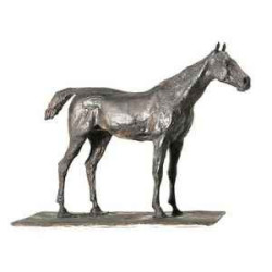 Cheval à l'arrêt Rmngp -RF005729