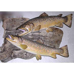Animaux-Bois-Animaux-Bronzes propose Trophée poisson d'eau douce  Truite fario femelle -TRDF16