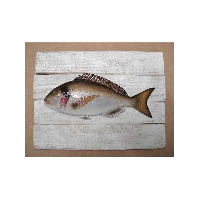 Animaux-Bois-Animaux-Bronzes propose Décors poisson de mer Dorade royale -CADR03