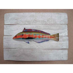 Animaux-Bois-Animaux-Bronzes propose Décors poisson de mer Girelle royale -CADR04