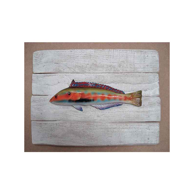 Animaux-Bois-Animaux-Bronzes propose Décors poisson de mer Girelle royale -CADR04