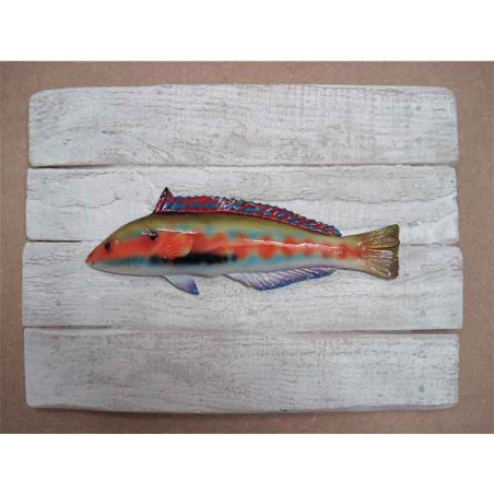 Cadre poisson de mer Cap Vert Girelle royale  -CADR04