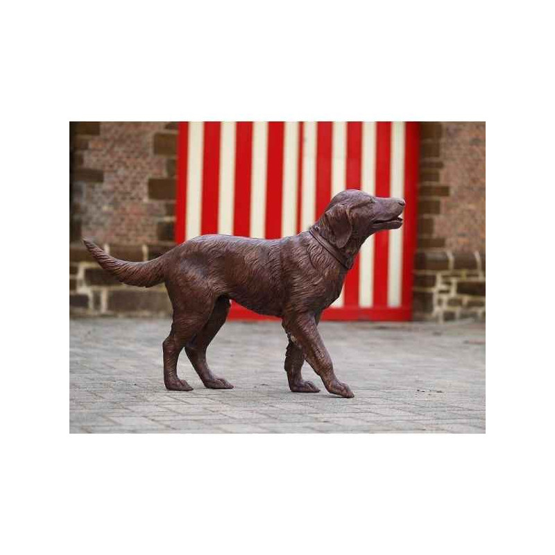 Statue en bronze labrador thermobrass  -b726