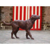 Statue en bronze labrador thermobrass  -b726