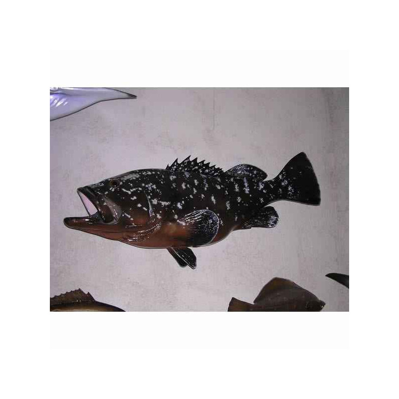Animaux-Bois-Animaux-Bronzes propose Trophée poisson des mers atlantique méditerranée et nord  Mérou -TRDF42