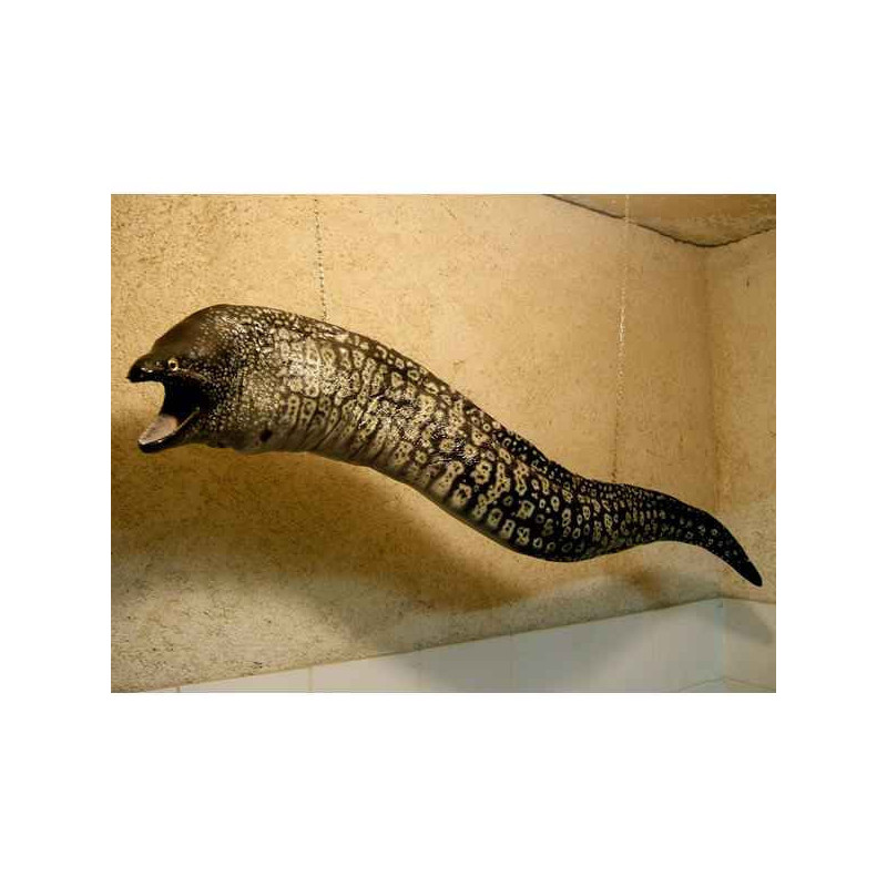 Animaux-Bois-Animaux-Bronzes propose Trophée mammifère marin  Murène -TR027