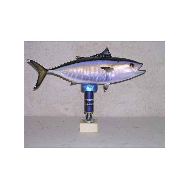 Animaux-Bois-Animaux-Bronzes propose Trophée poisson des mers atlantique méditerranée et nord  Thon rouge bébé -TRDF51