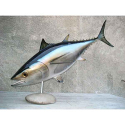 Animaux-Bois-Animaux-Bronzes propose Trophée poisson des mers atlantique méditerranée et nord  Thon rouge -TRDF50