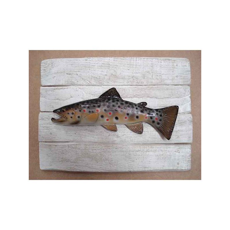 Animaux-Bois-Animaux-Bronzes propose Décors poisson d'eau douce Truite fario -CADR19