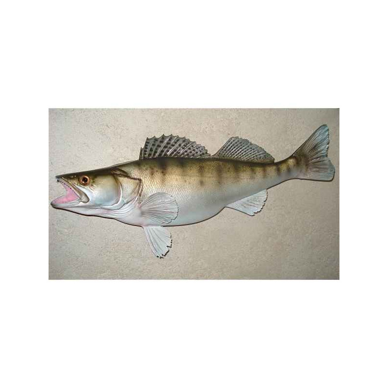Animaux-Bois-Animaux-Bronzes propose Trophée poisson d'eau douce  Sandre -TR09