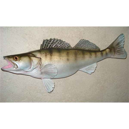 Animaux-Bois-Animaux-Bronzes propose Trophée poisson d'eau douce  Sandre -TR09