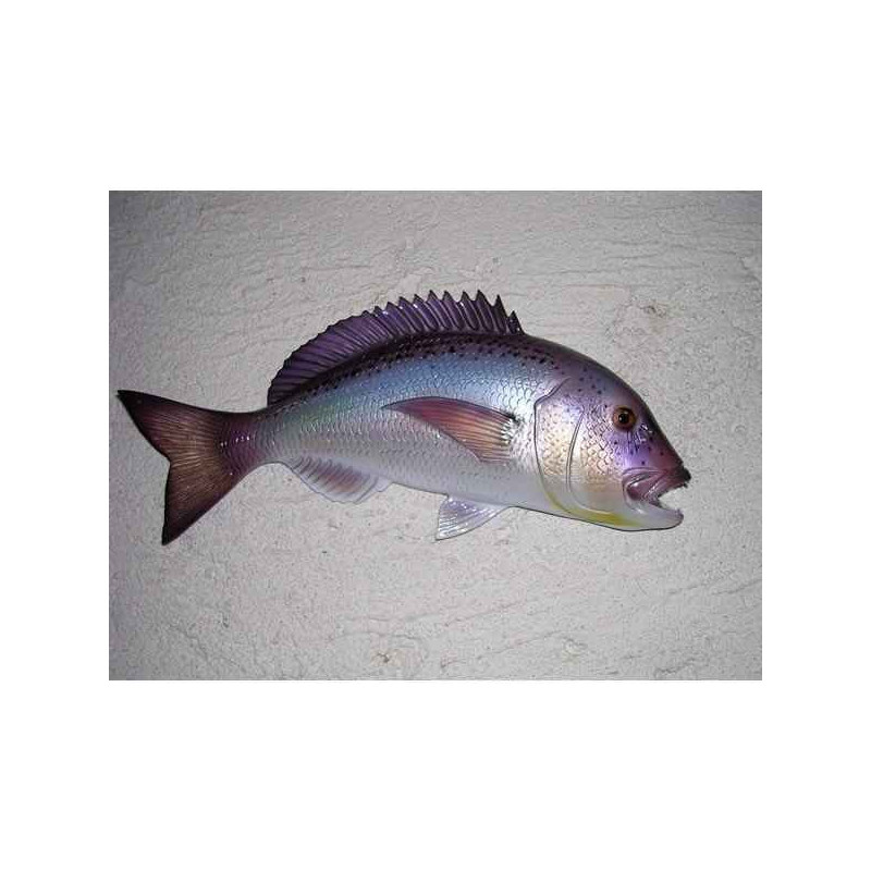 Animaux-Bois-Animaux-Bronzes propose Poisson Denti sculpture murale -MSR004