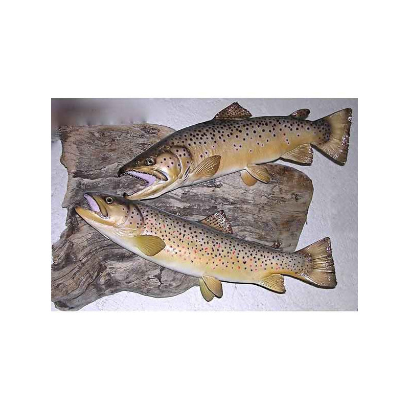 Animaux-Bois-Animaux-Bronzes propose Trophée poisson d'eau douce  Truite fario femelle -TR16